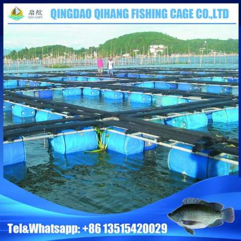 Lake or River Aquaculture Equipment for Tilapia Fish Farming