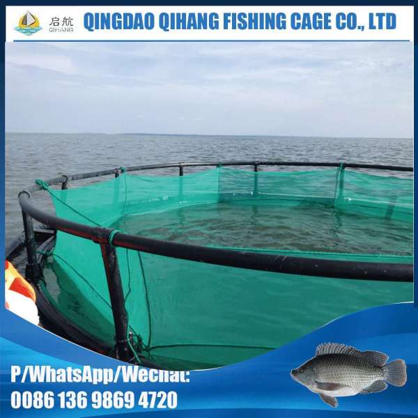 Fish Aquaculture Equipment for Tilapia Farming